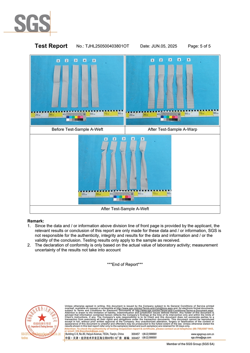 体育手机版官网