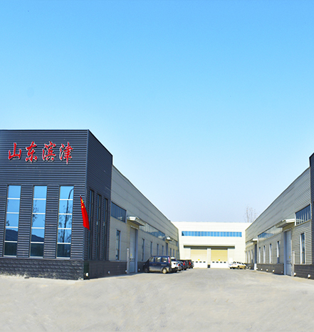 体育手机版官网